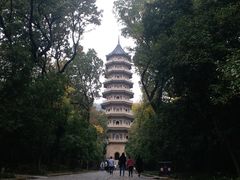-灵谷景区