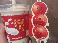 -一只酸奶牛(时代天街A馆店)