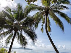 -三亚海棠湾万丽度假酒店