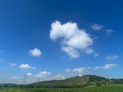 -御道口草原森林风景区