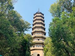 -灵谷景区