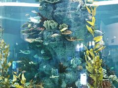 -福州罗源湾海洋世界旅游区