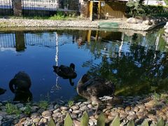 -北京市海淀外国语实验学校