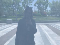 -琴岛之星摩天轮