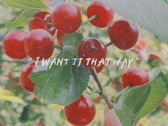 -樱桃山旅游景区