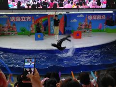 -成都浩海立方海洋公园