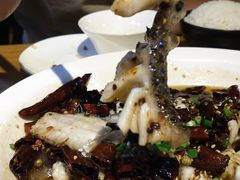 -三猫黑鱼花(南大店)