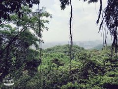 -广州市白云山风景名胜区