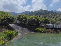 -南丹山森林王国