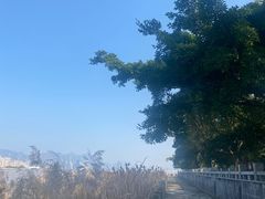 -江心屿景区