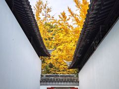 -西园戒幢律寺