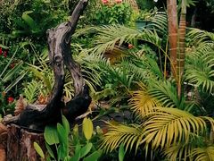 景观位-自然餐厅(Phuket)