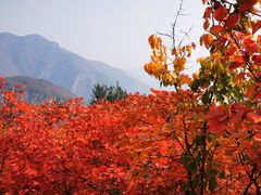 -周口店坡峰岭风景区