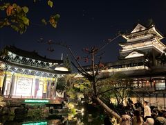 -荔湾湖公园