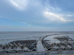 -南汇嘴观海公园