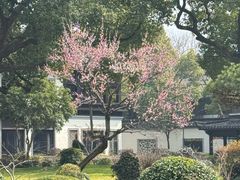 -杭州西湖柳莺里酒店