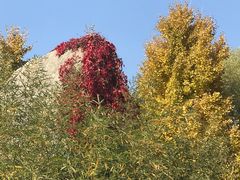 -1369冰火锅(木北路店)