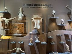 -大庆市博物馆