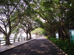 -大湾区中央湿地公园
