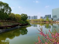 -大兴滨河森林公园