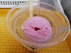 -成裕雪糕店(士多店)
