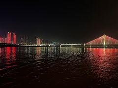 -武汉知音号