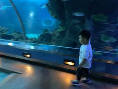 -石家庄海洋公园