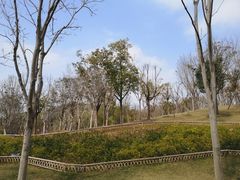 -牛岗山公园