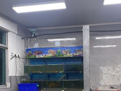 -林记潮汕海鲜砂锅粥(平潭店)
