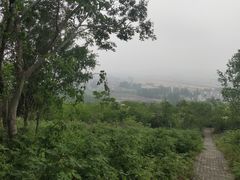 -六合国家地质公园桂子山景区