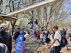 -长白岛森林公园