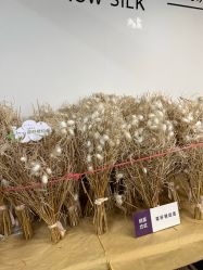 -太湖雪蚕桑文化园