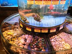 -金悦轩海鲜城(渔人码头店)