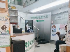 -爱侣宠医·鹦鹉专科·小型哺乳类·异宠专科(灵石路店)