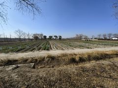 -嘉北郊野公园