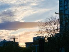 -大青山野生动物园