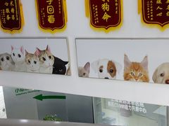 -爱侣宠医·鹦鹉专科·小型哺乳类·异宠专科(灵石路店)