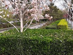 -金宫殿故址