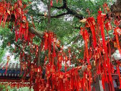 -国恩寺