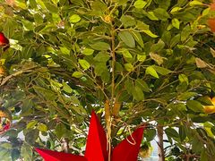 -上海体育博物馆