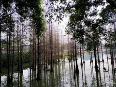 -南宁花花大世界景区