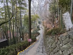 -莫干山风景区