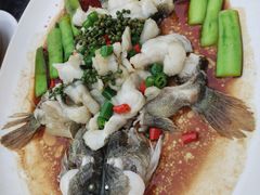 -猪肉婆私房菜(容桂总店)