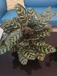 -悦润荟美容抗衰中心