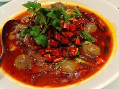 -新吉士·上海菜(浦东LCM置汇旭辉店)