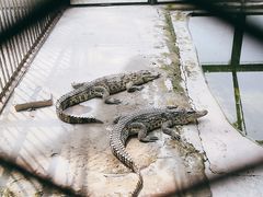 -秦皇岛野生动物园