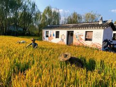 -溱湖国家湿地公园