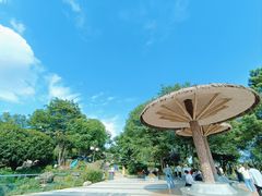 -铁山坪森林公园