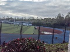 -云南大学滇池学院