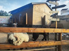 -HERRE·FARM 赫尔露营农场·团建聚会包场